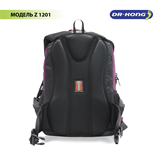 Школьный рюкзак DR.KONG Z 1201 для девочек на рост 130 - 150 см 1201 - фото 4964 Школьный рюкзак DR.KONG Z 1201 для девочек на рост 130 - 150 см 1201 - фото 4964