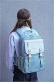 Школьный рюкзак DR.KONG Z 1243 для девочек на рост 130-150 см 1243